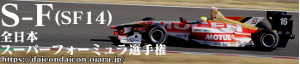 スーパーフォーミュラ選手権 SF14